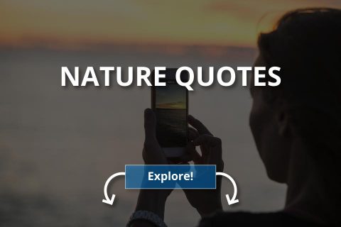 Best Nature Quotes – Refreshing & Beautiful Sayings to Inspire You